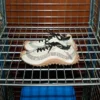 Vita Mirage-sneakers i mesh
